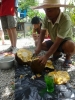 Klik om te vergroten Jack Fruit, die zijn groot he! Chiang Mai