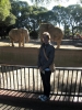 Zoologico
