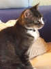 Onze Jerry