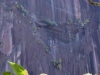 Los Volcanes El Refugio Bergwandbegroeing