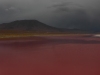 Klik om te vergroten Uyunitour, Laguna colorado