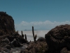 Klik om te vergroten Uyuni, Cactus