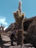Klik om te vergroten Uyuni, Lieke met knuffelcactus