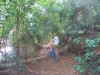 Klik om te vergroten Pulau Ubin, survival