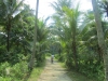 Klik om te vergroten Pulau Ubin