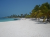 Saona