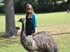 Emoes hebben ze ook bij \'t Lone Pine Koala Sanctuary