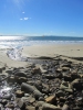 Contrasten @ Noosa