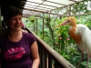 Klik om te vergroten Lunchen in het KL Bird Park