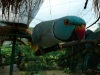 Klik om te vergroten Nieuwsgierige vogel (KL Bird park)