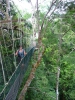 Klik om te vergroten Canopy Walk - Taman Negara