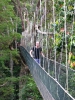 Klik om te vergroten Canopy Walk - Taman Negara