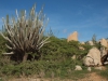Aruba