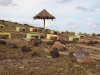 Aruba