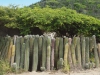 Aruba