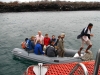 Klik om te vergroten Dinghy