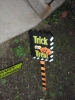 Klik om te vergroten Trick or Treat