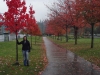 Herfst in Vancouver!