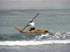 Visser in Huanchaco