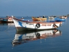 Haven van Paracas