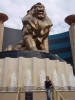 Klik om te vergroten Marjan voor MGM Grand