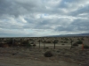 Klik om te vergroten Woestijn langs de weg naar Bakersfield