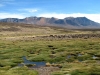 Lauca national park