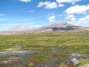 Lauca national park