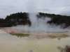 Champagne Pool