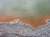 Champagne Pool