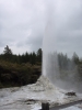 Lady Knox Geyser in Wai-O-Tapu
