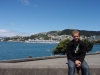 De Baai van Wellington