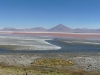 Laguna colorado (gekleurd meer).