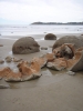 Klik om te vergroten Moeraki Boulders
