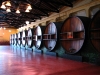 Klik om te vergroten Bodegatour in omgeving Mendoza.