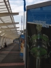 Klik om te vergroten Champions Walk bij Melbourne Park