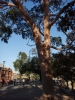 Klik om te vergroten De weg naar Melbourne Park, waar de wedstrijden waren