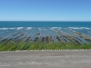 Kust van Peninsula Valdes.