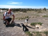 Cees met pinguins.