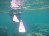 Marjan snorkelen