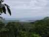 Cape Tribulation