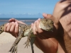 WS met de krokodil