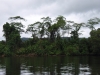 Tocht over Daintree River