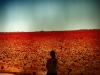 Klik om te vergroten Adelaide: Marjan in de outback