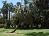 Klik om te vergroten Brisbane: Botanic Gardens