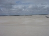 Klik om te vergroten Wit duinlandschap