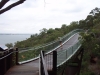 Klik om te vergroten De Tree Top Walk, in Kings Park
