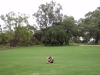Klik om te vergroten WS in Kings Park