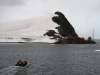 Met de zodiac naar het echte vaste land van Antarctica.