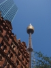 Klik om te vergroten Sydney Tower vanaf Pitt Street